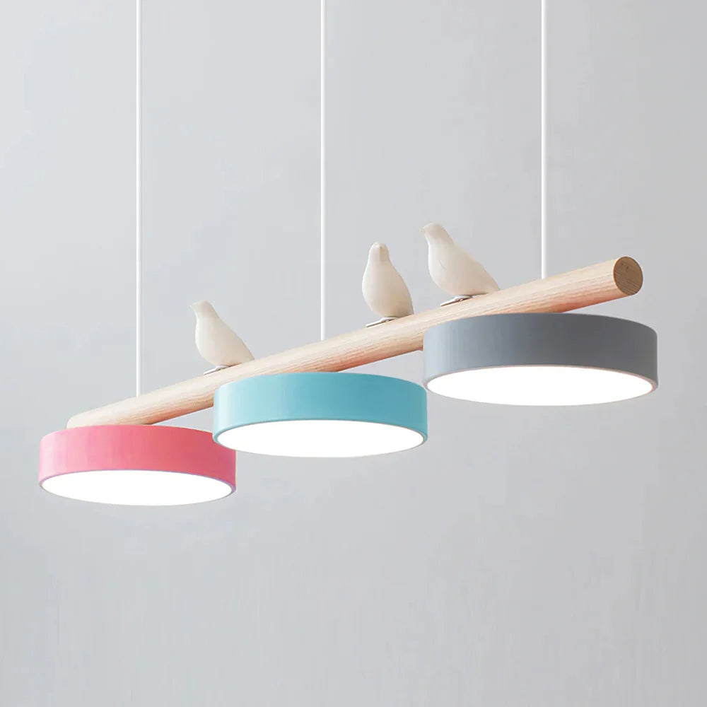 Cliff Suspension Oiseau