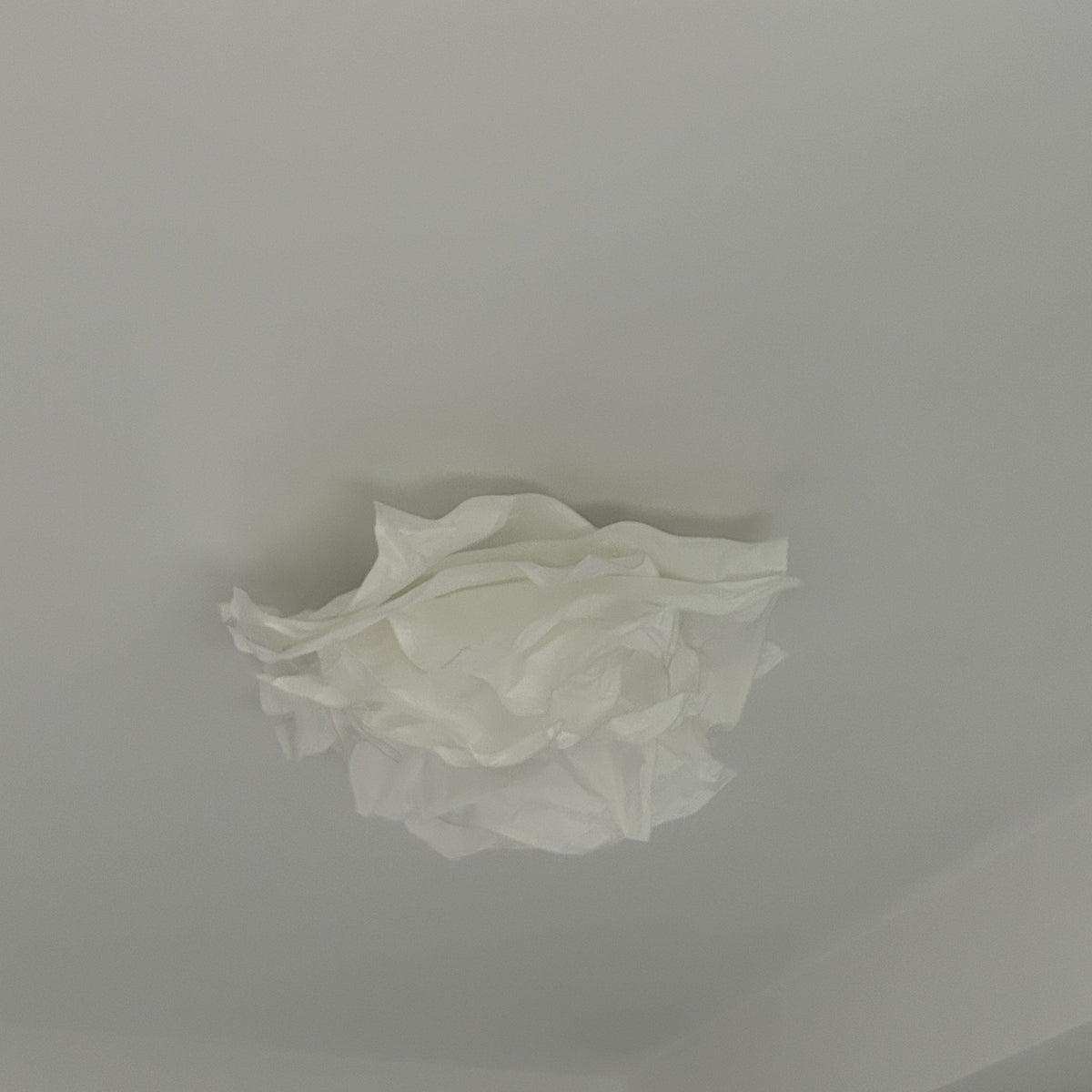 Ritta Conception Fleur Métal Plafonnier Étude Chambre à Coucher