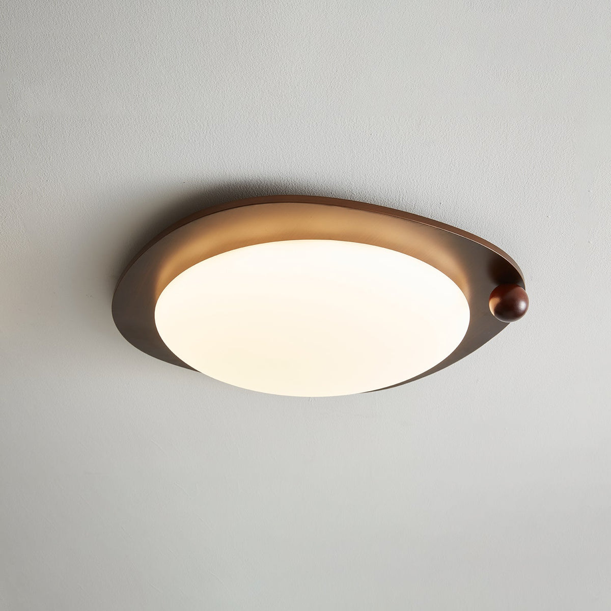 Velaee Lampe Plafonnier Art Nordic Premium