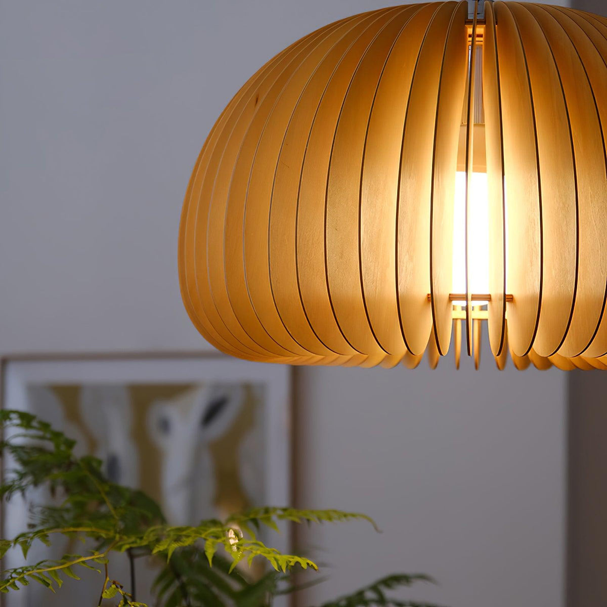Liorard Suspension