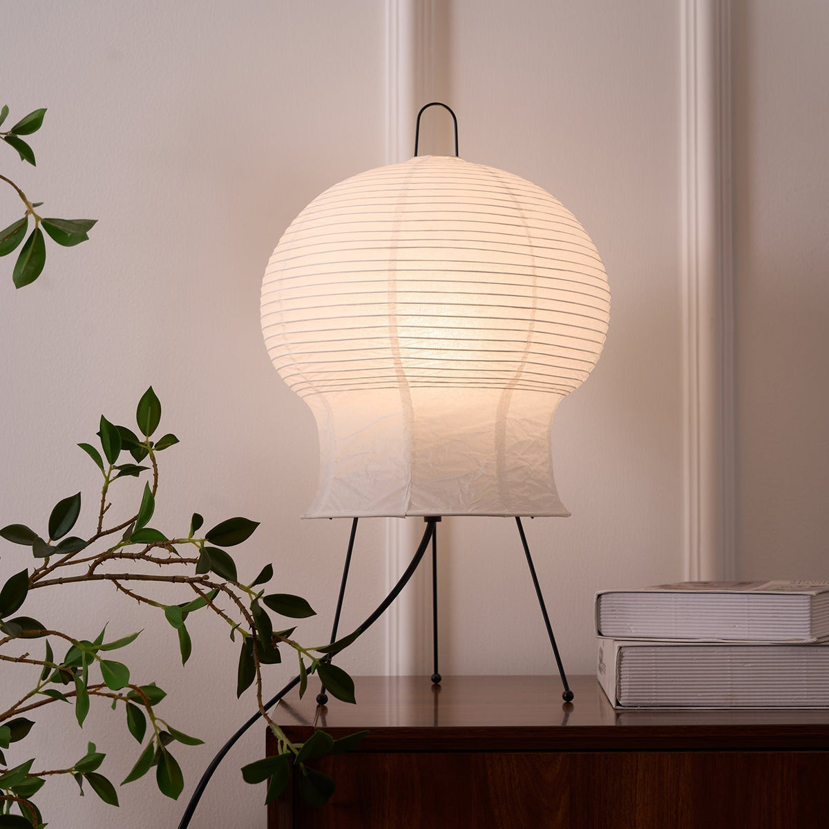 Selanaya Lampe de Table