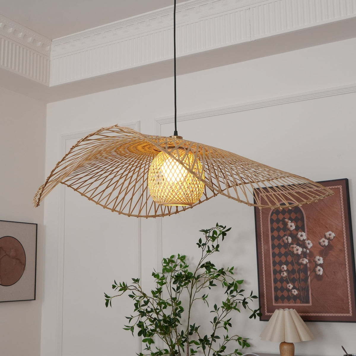 Ciranise Suspension