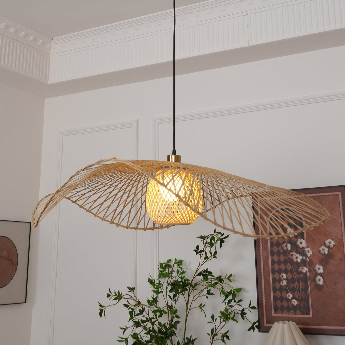 Ciranise Suspension