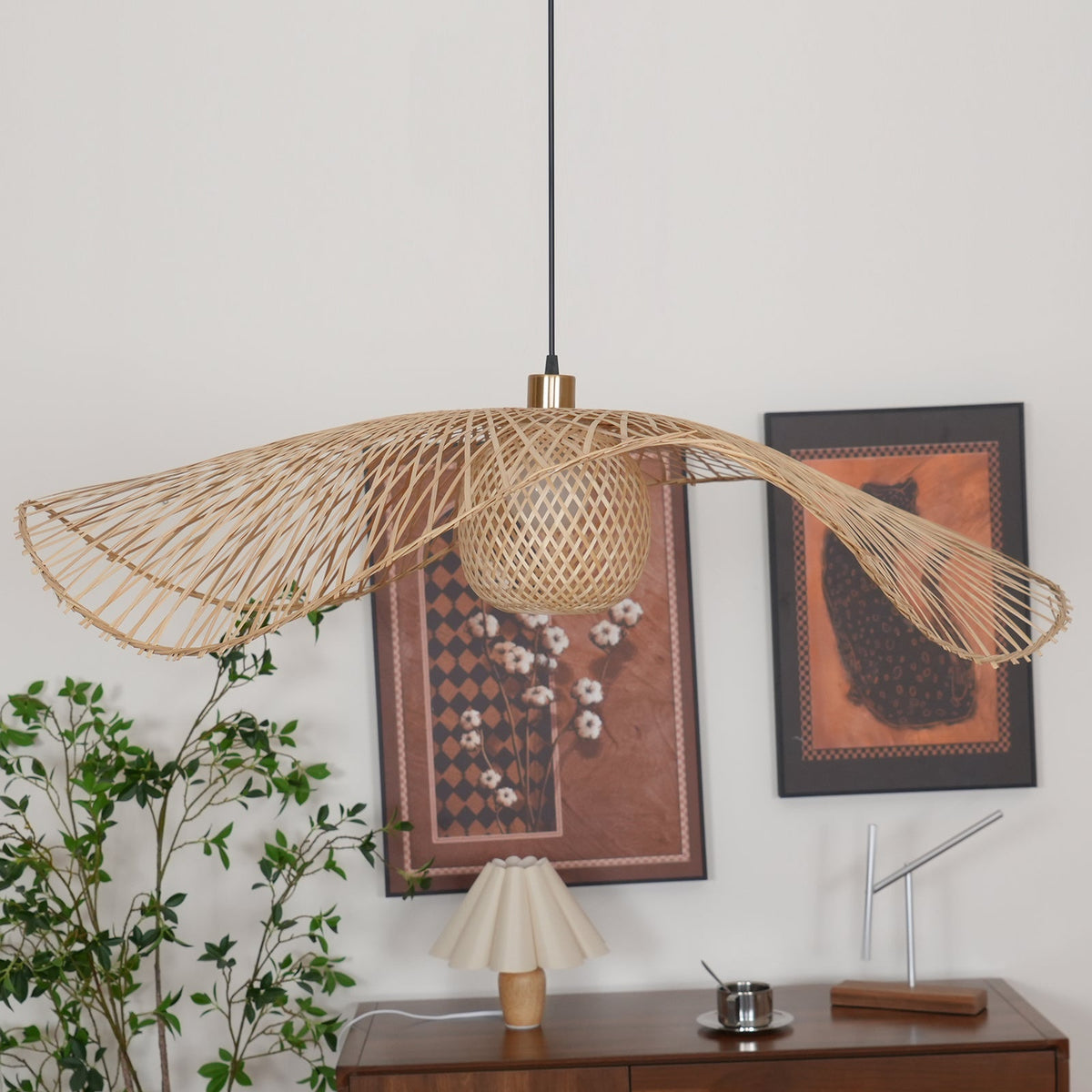 Ciranise Suspension
