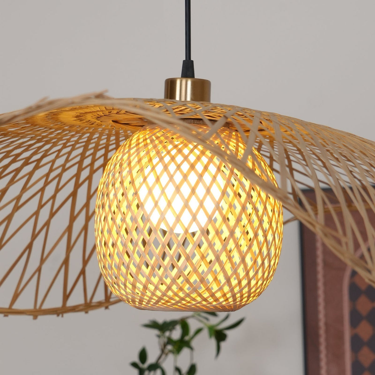 Ciranise Suspension