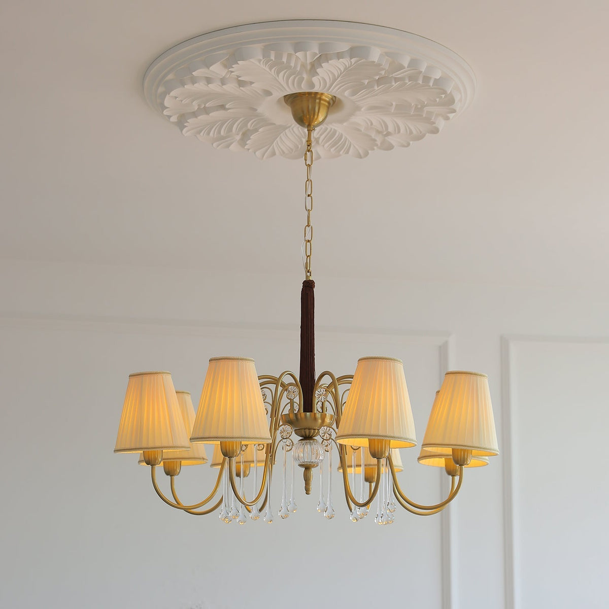 Mondia Lustre