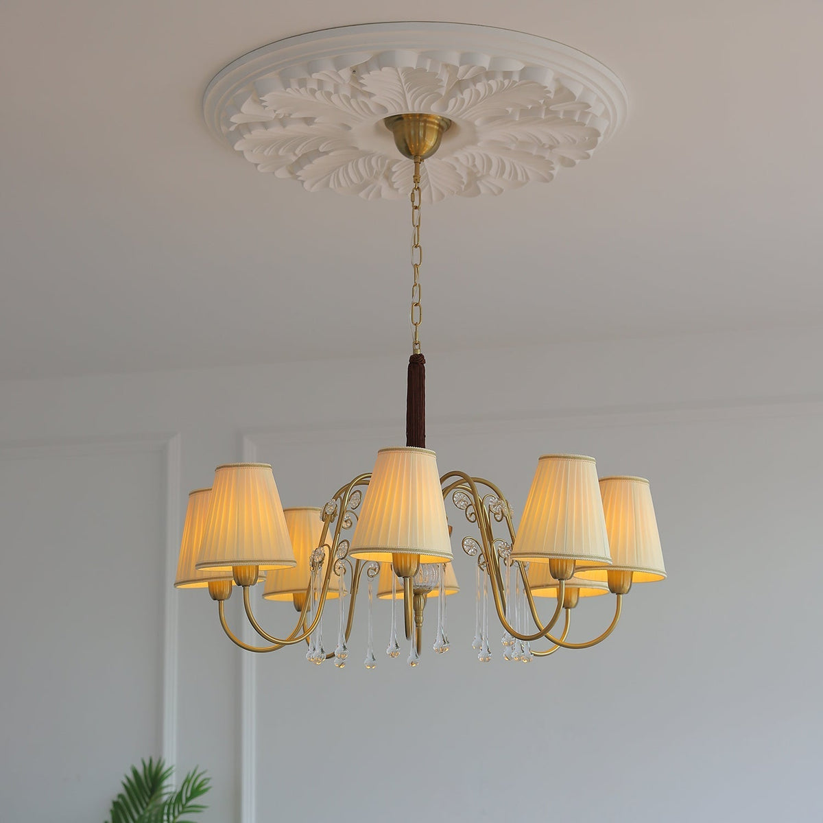 Mondia Lustre