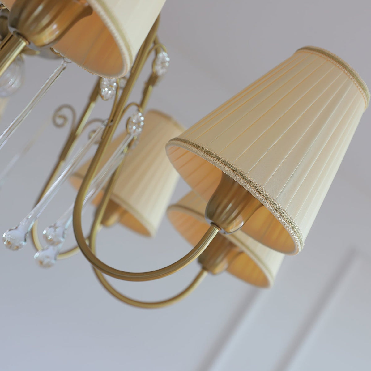 Mondia Lustre