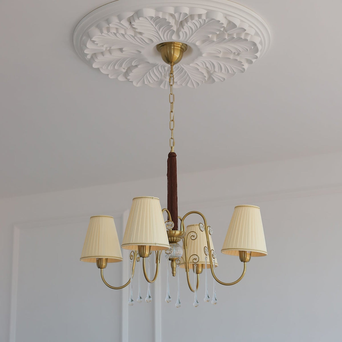 Mondia Lustre