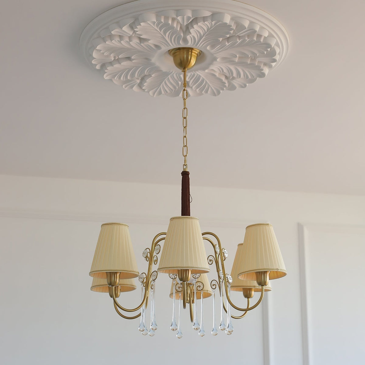 Mondia Lustre