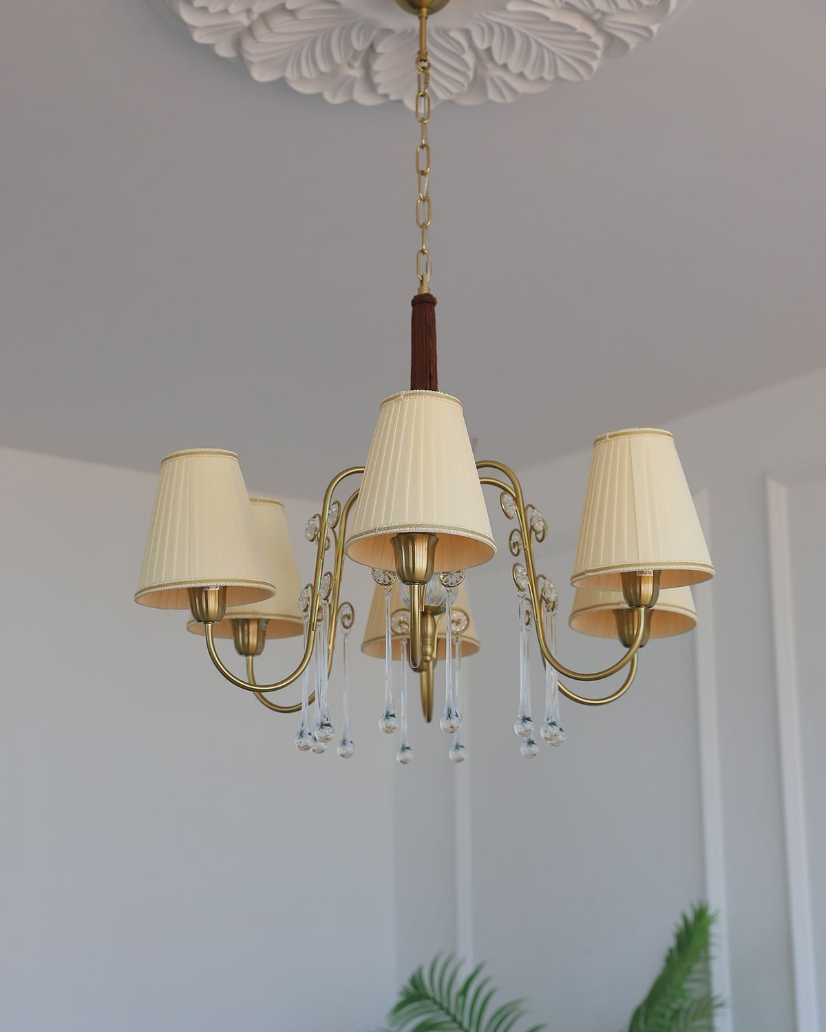 Mondia Lustre