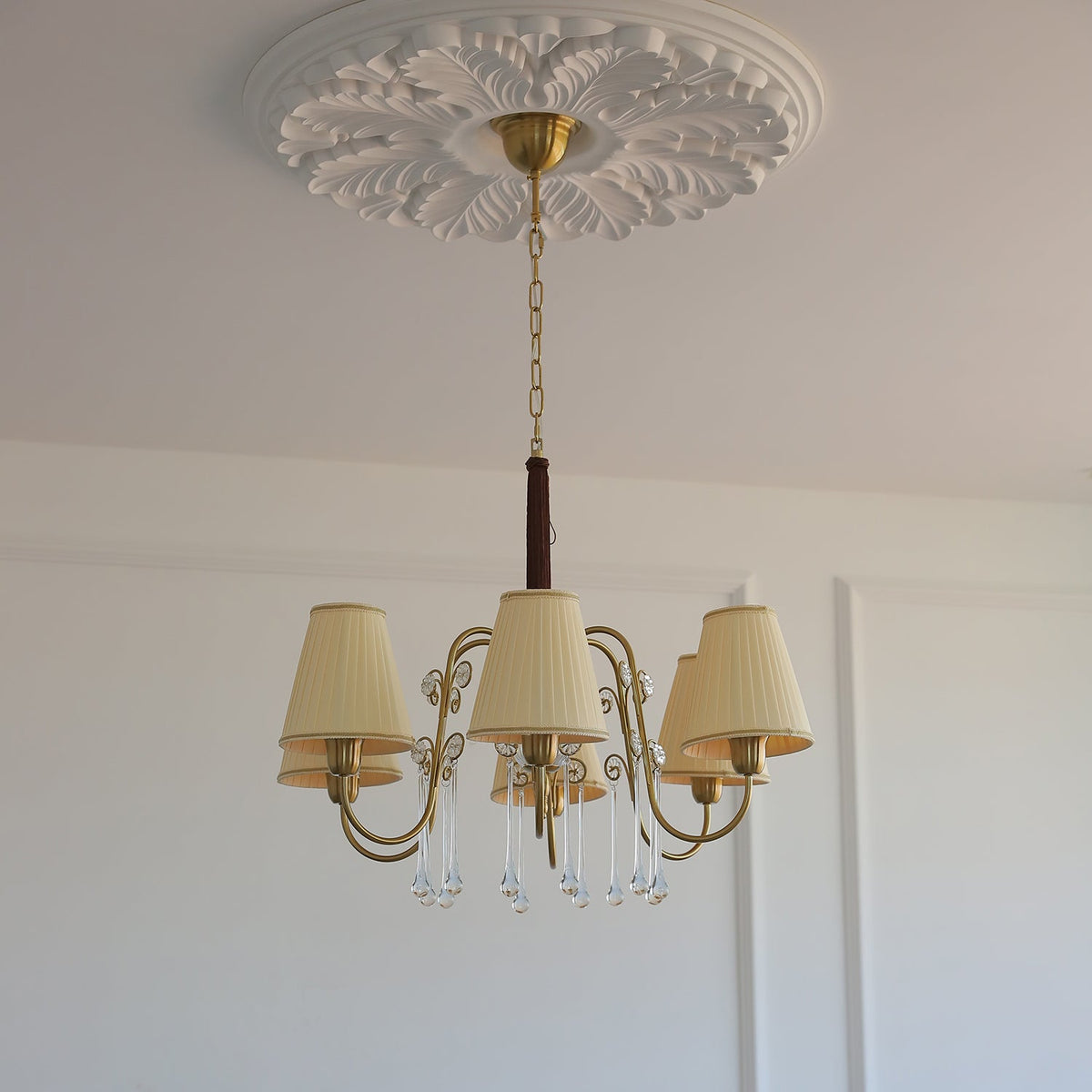 Mondia Lustre