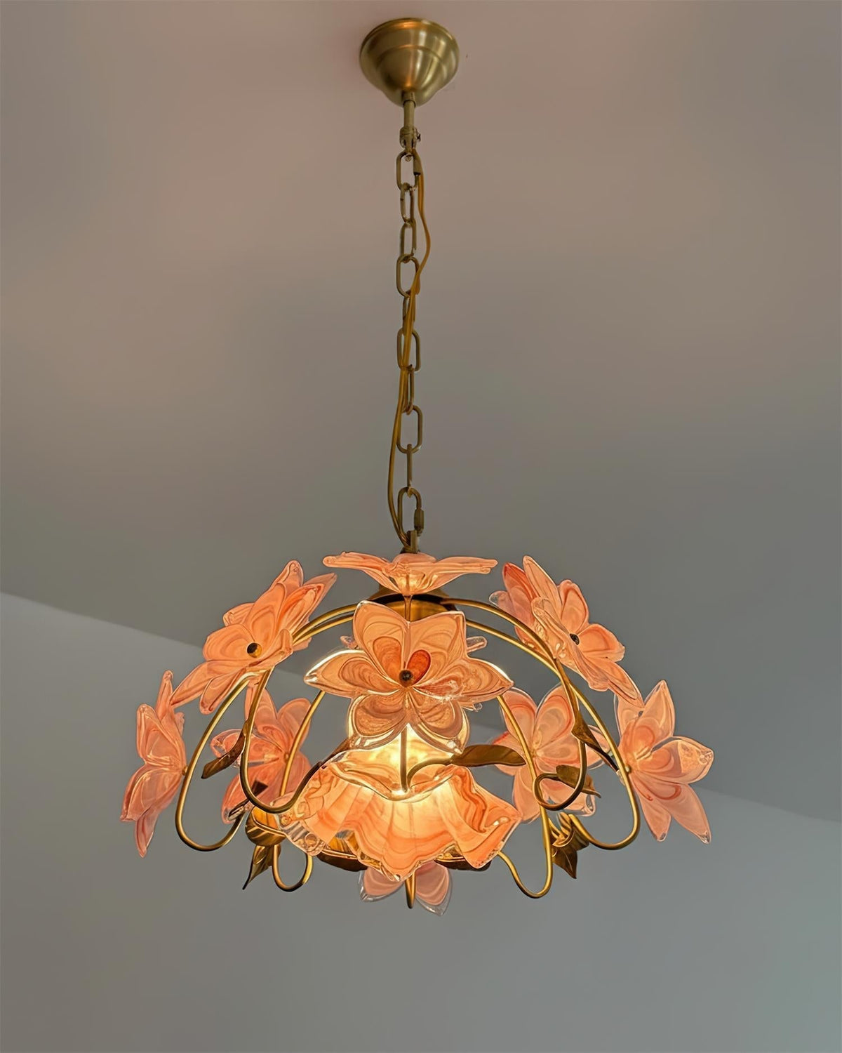 Orelaeria Suspension