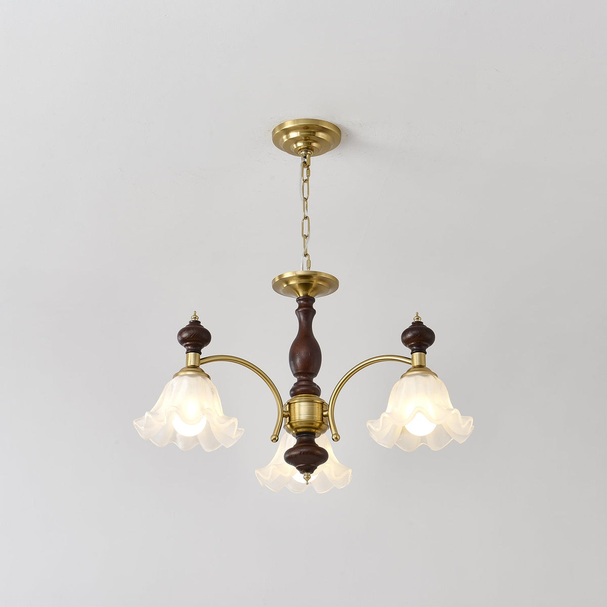 Raviane Lustre Bois Laiton Fleurs en Floraison