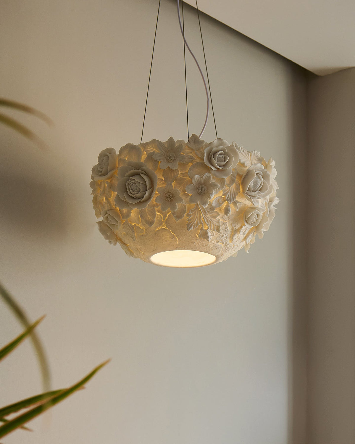 Liorineria Suspension