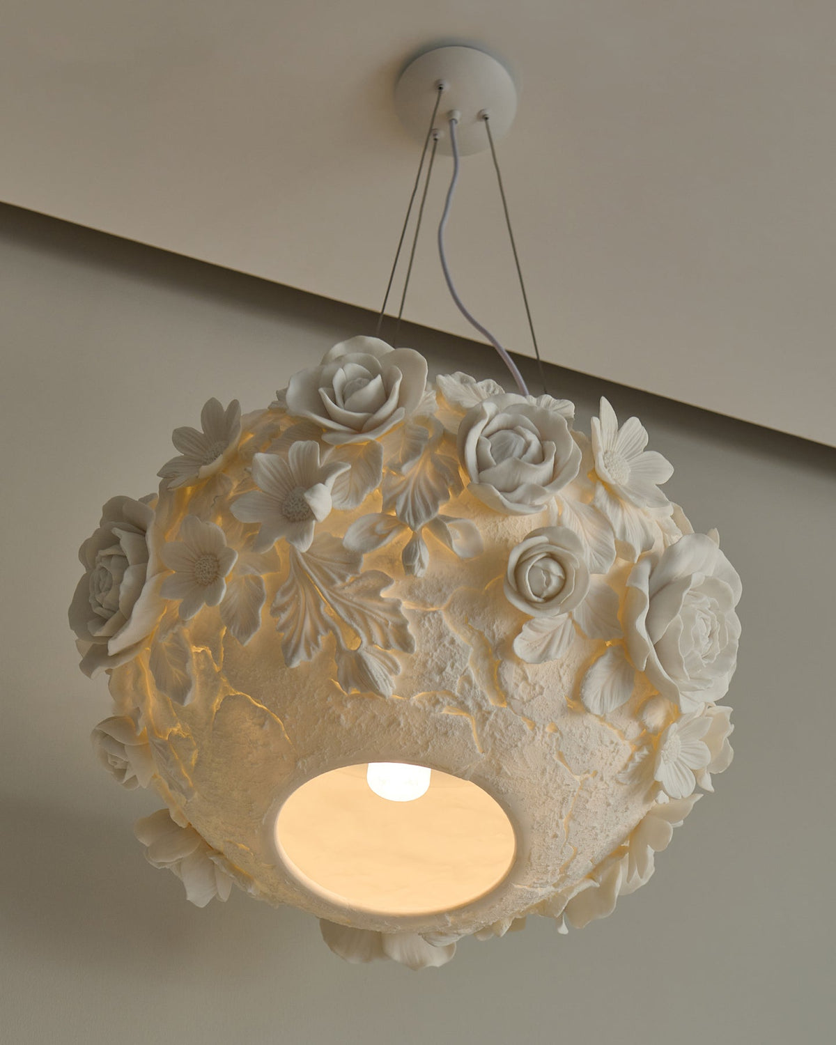 Liorineria Suspension