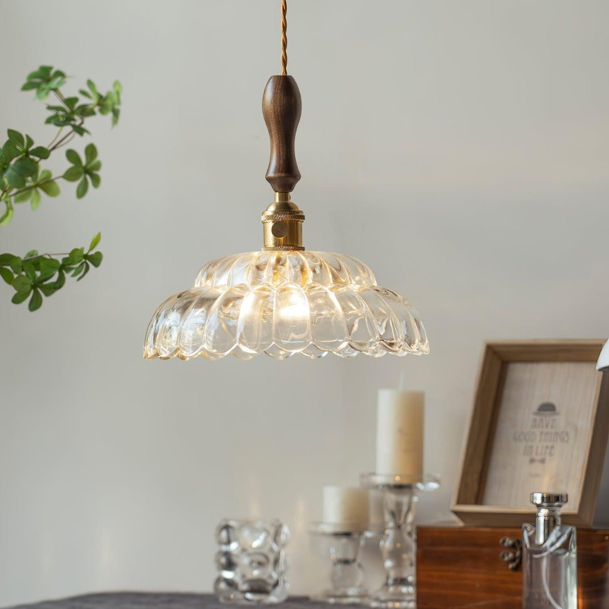 Aster Suspension