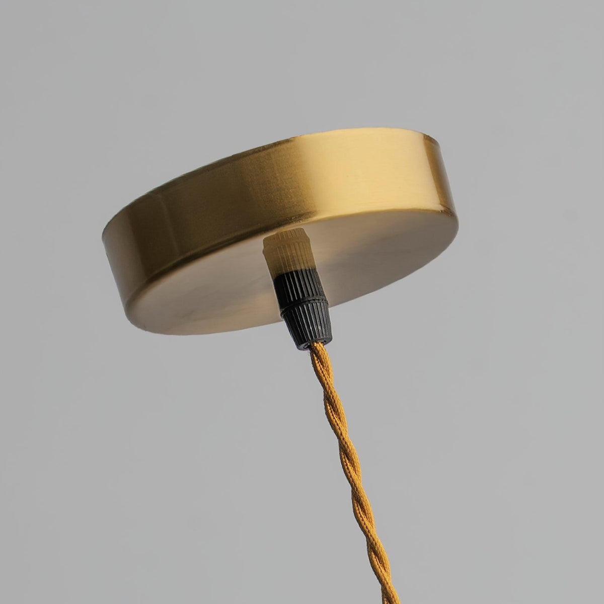 Aster Suspension