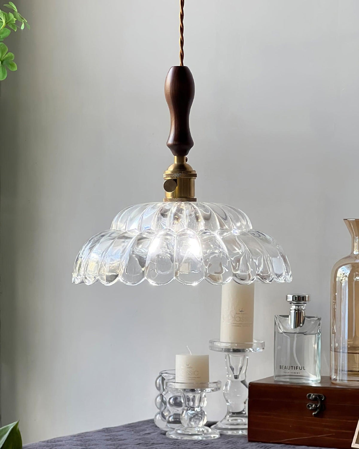 Aster Suspension