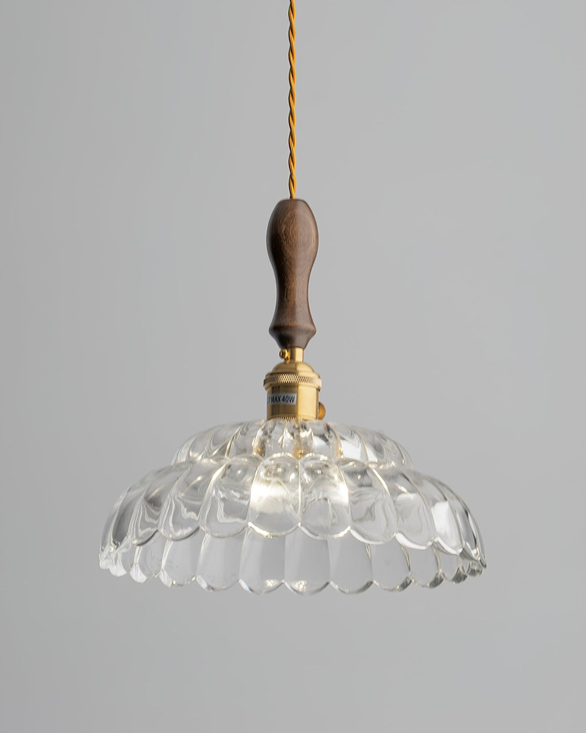 Aster Suspension