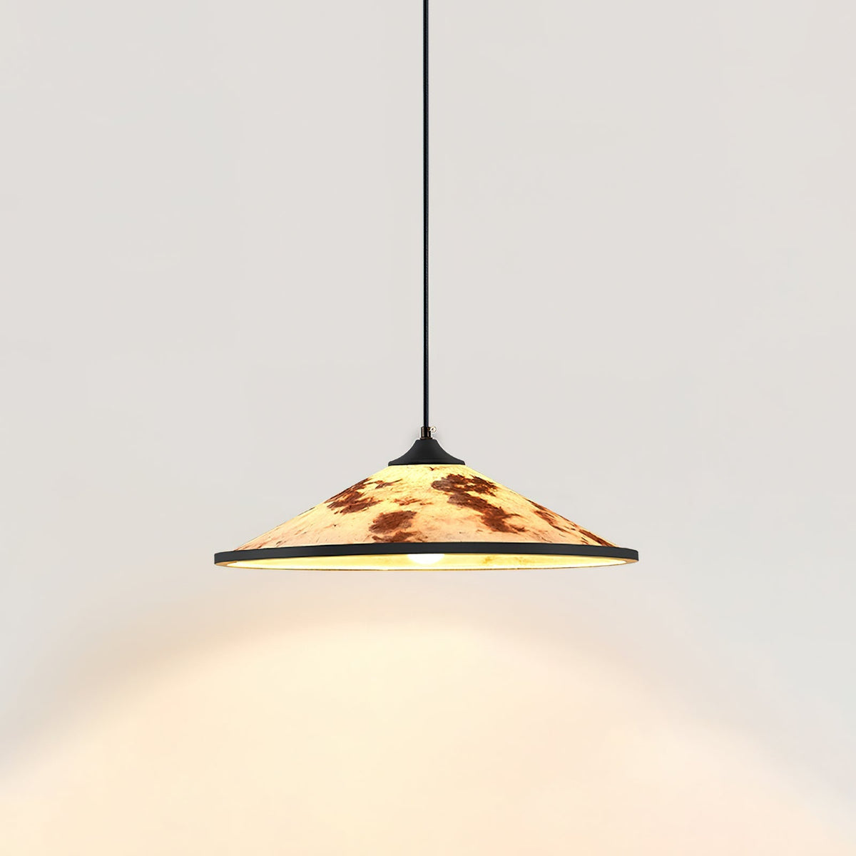 Viraalora Suspension