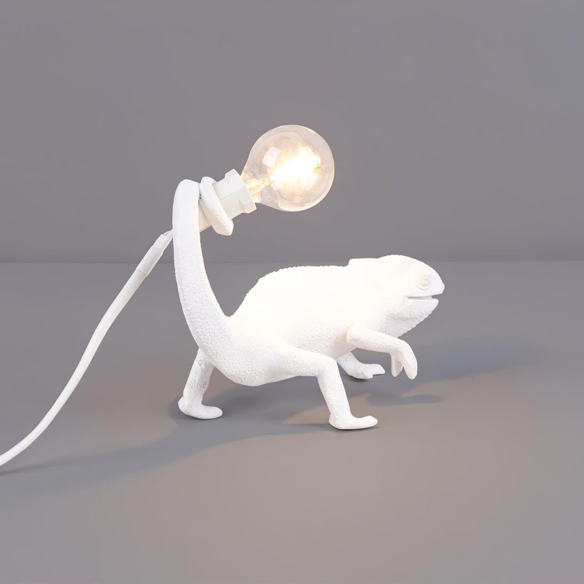 Lampe de Table Orelanaya