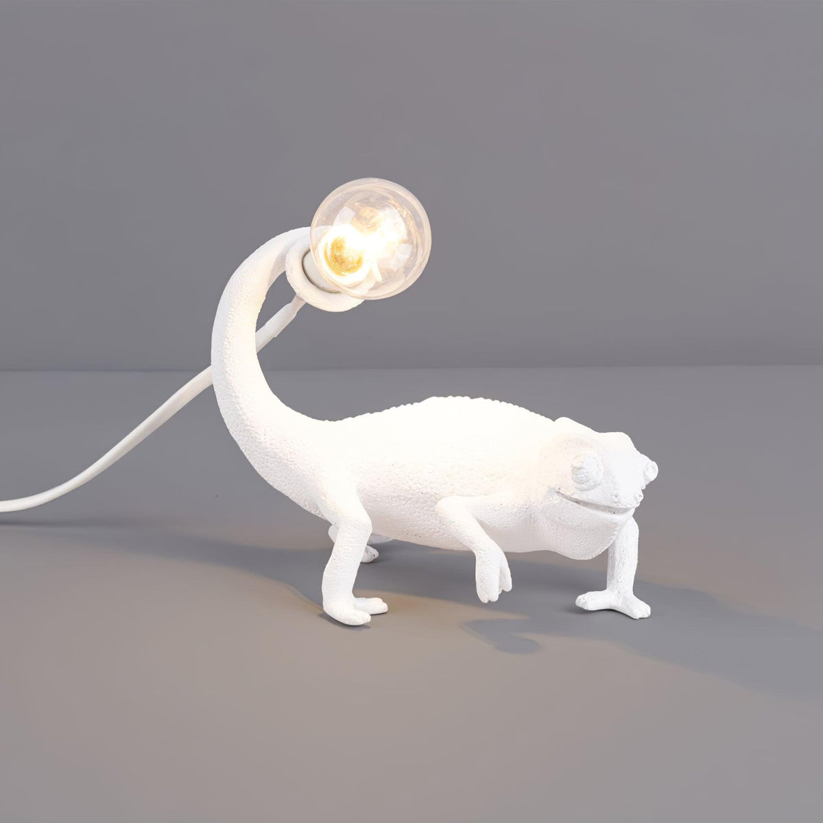 Lampe de Table Orelanaya
