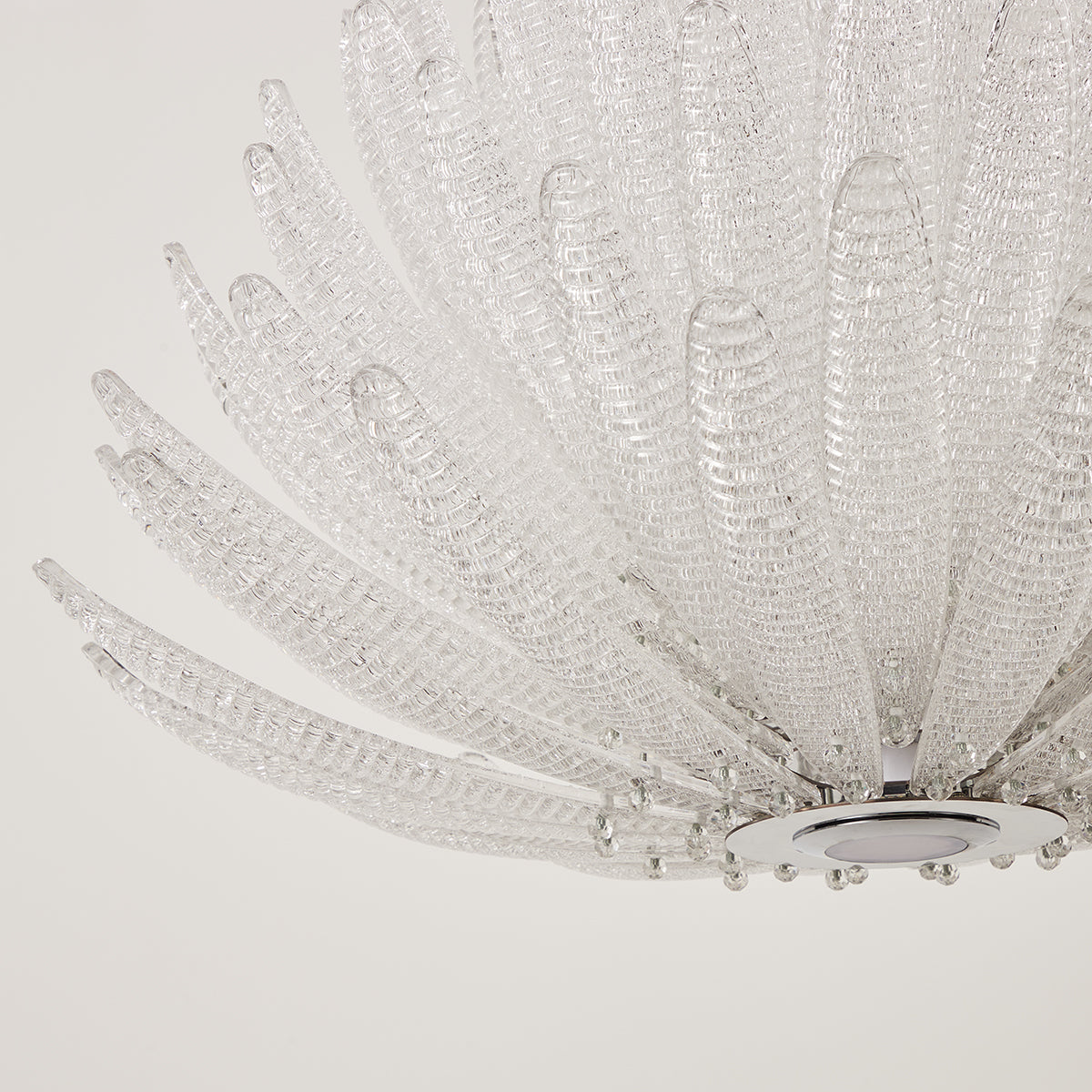 Chrysant Lustre