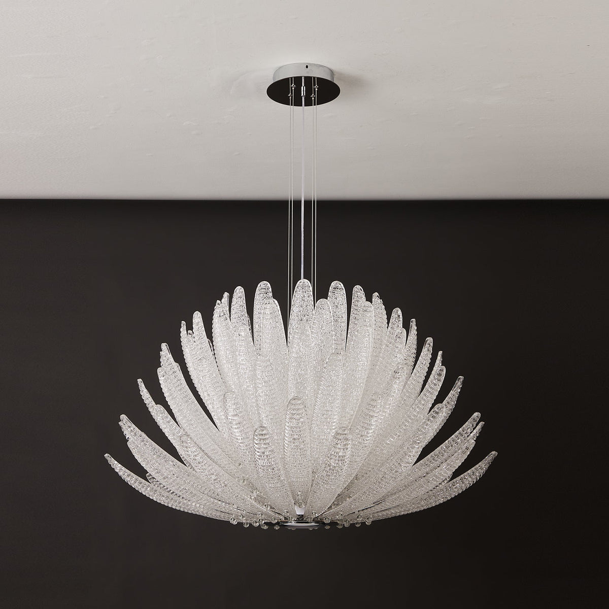 Chrysant Lustre
