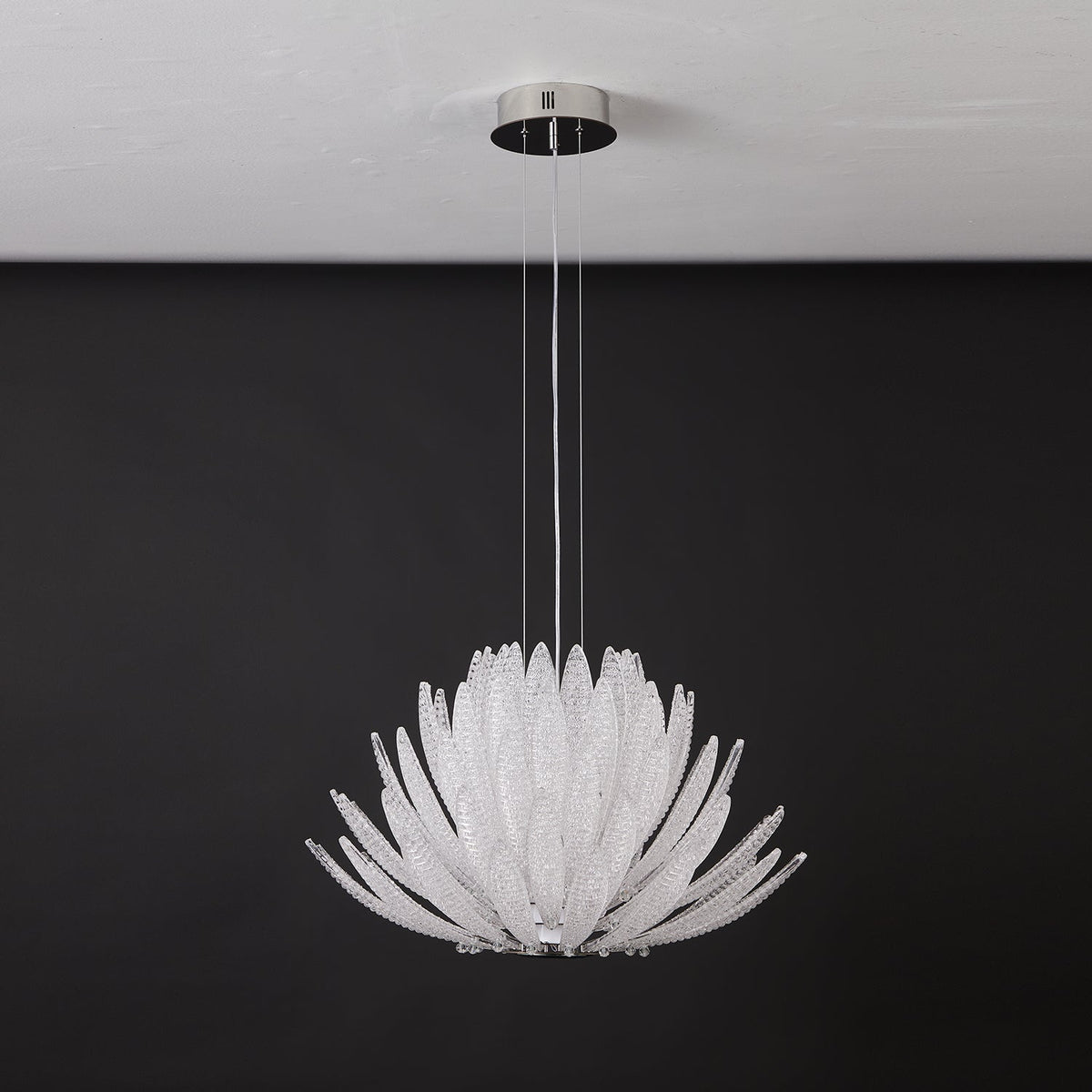 Chrysant Lustre
