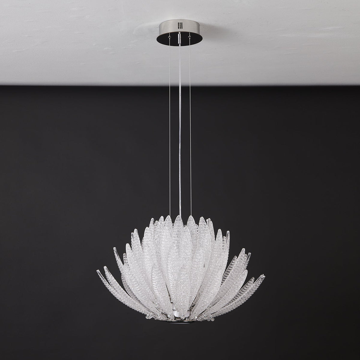 Chrysant Lustre