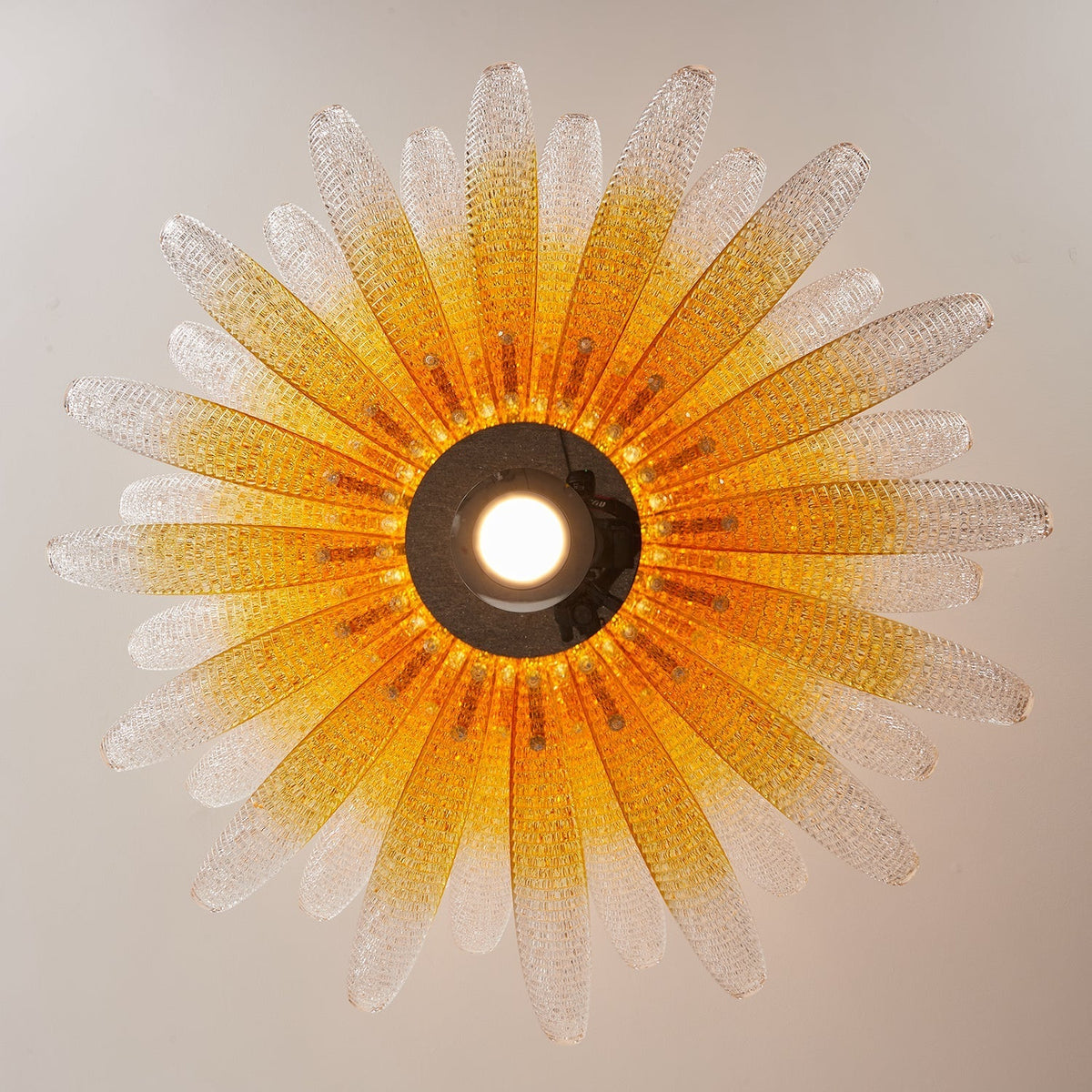 Chrysant Lustre