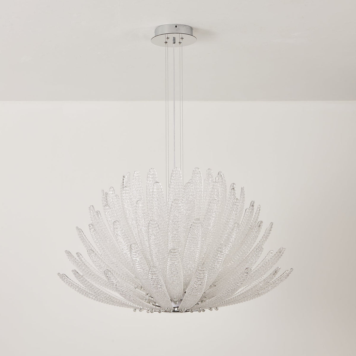 Chrysant Lustre