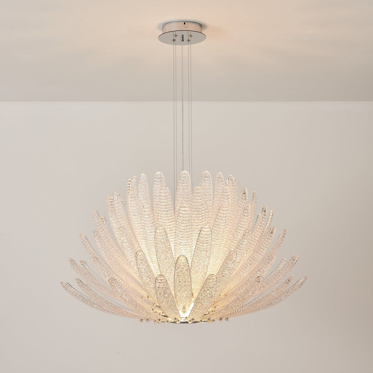 Chrysant Lustre
