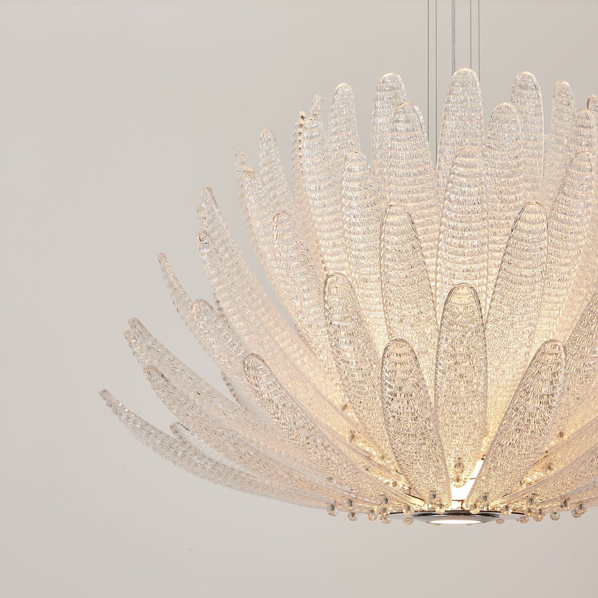 Chrysant Lustre