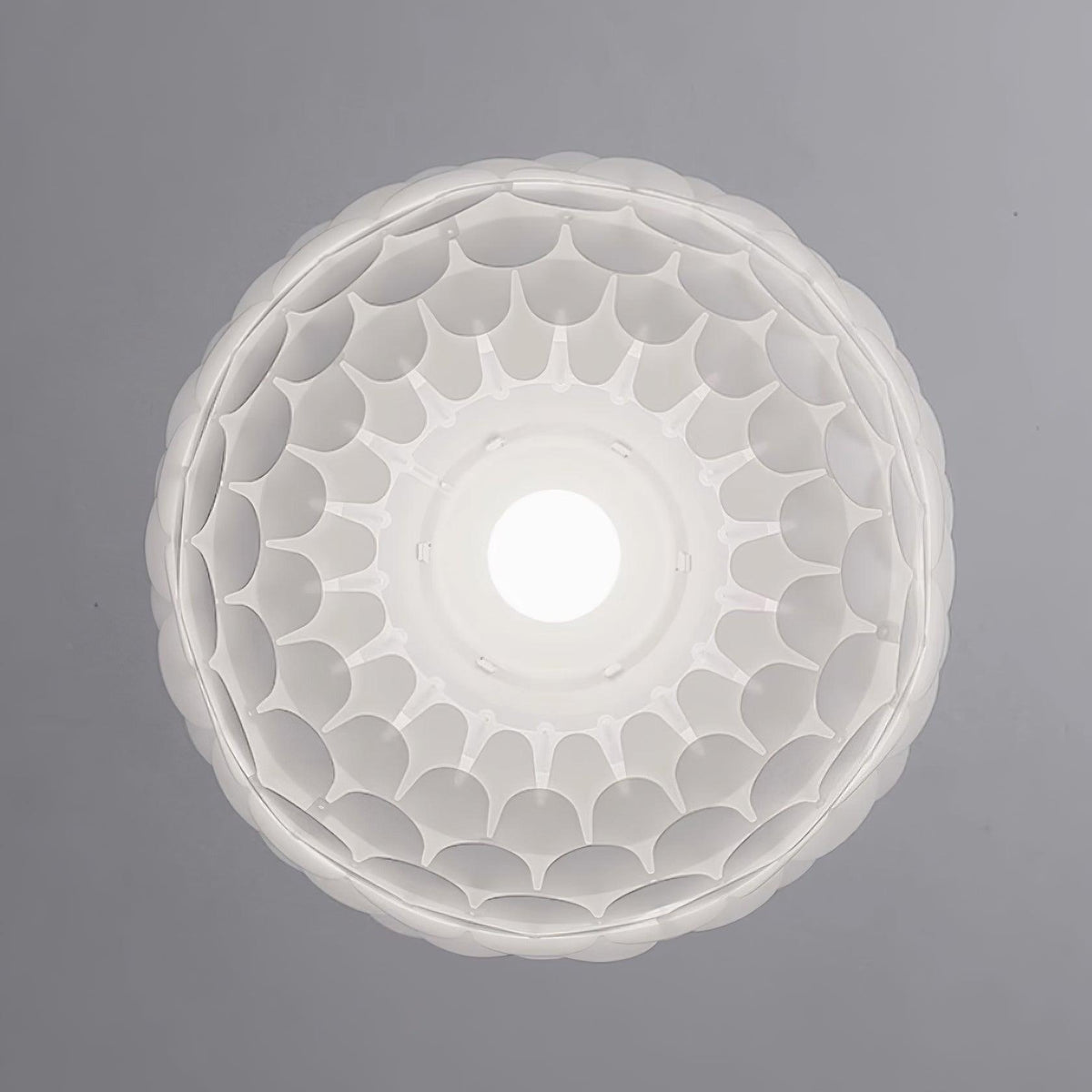 Crownel Suspension