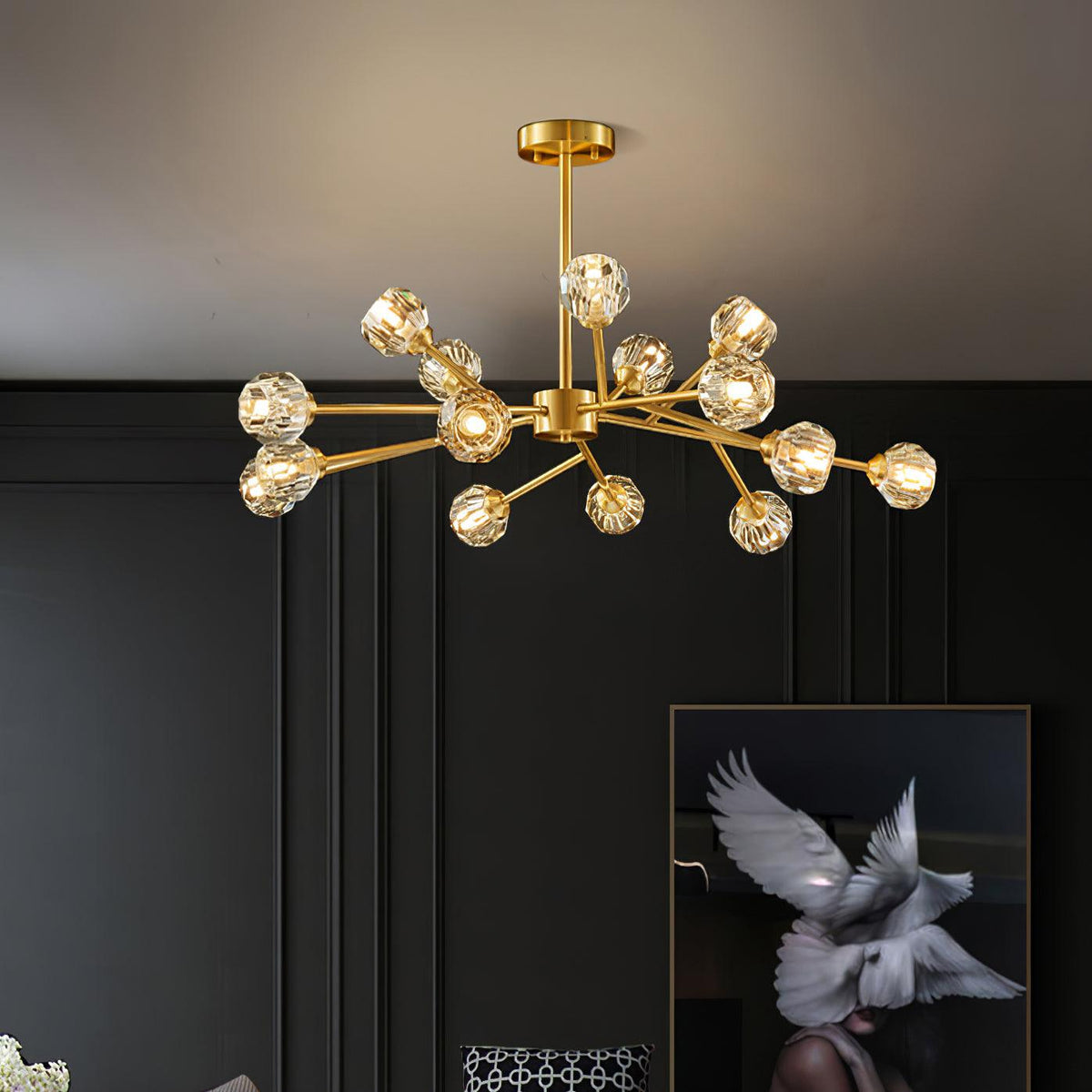 Reniella Lustre