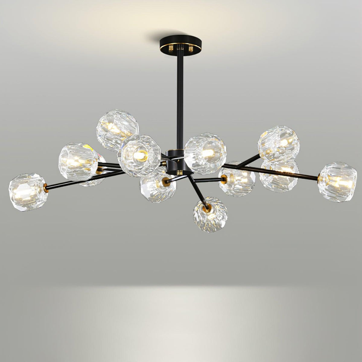 Reniella Lustre