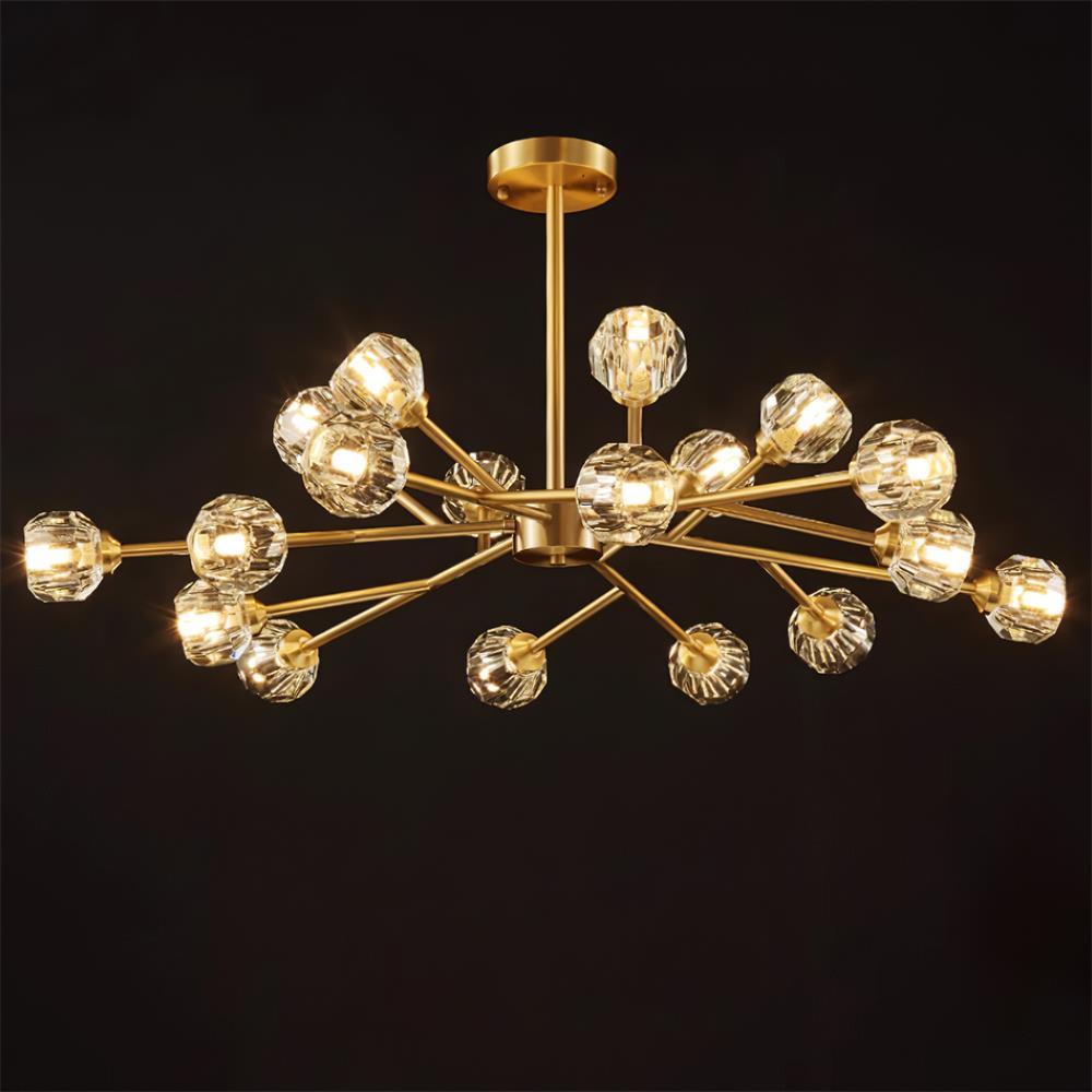 Reniella Lustre
