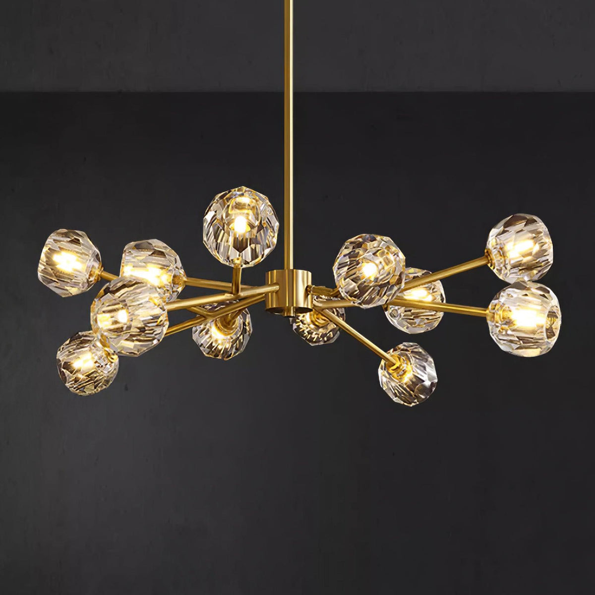 Reniella Lustre