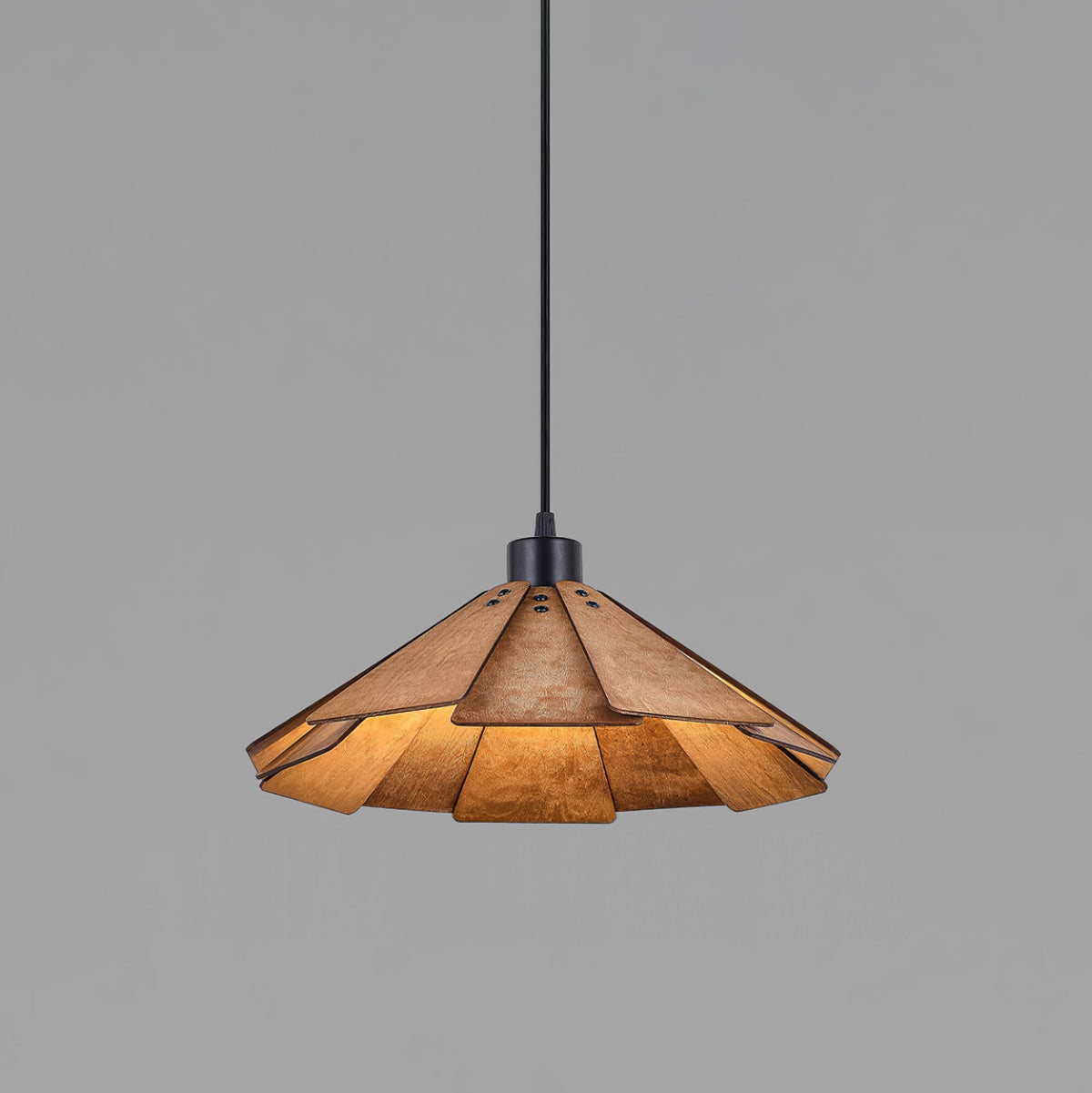 Isria Suspension