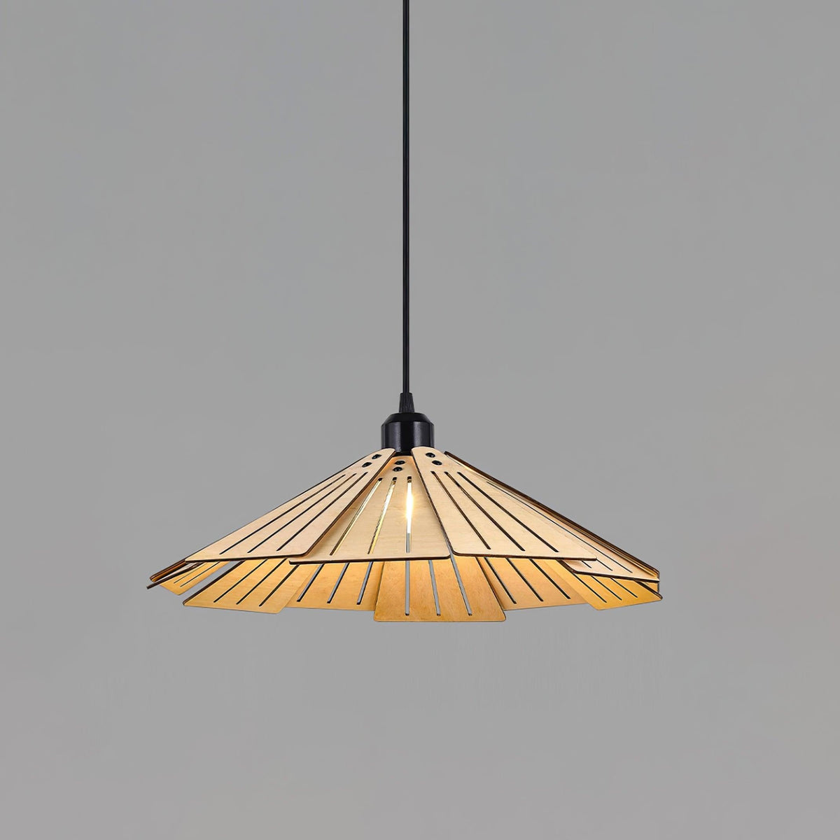 Isria Suspension