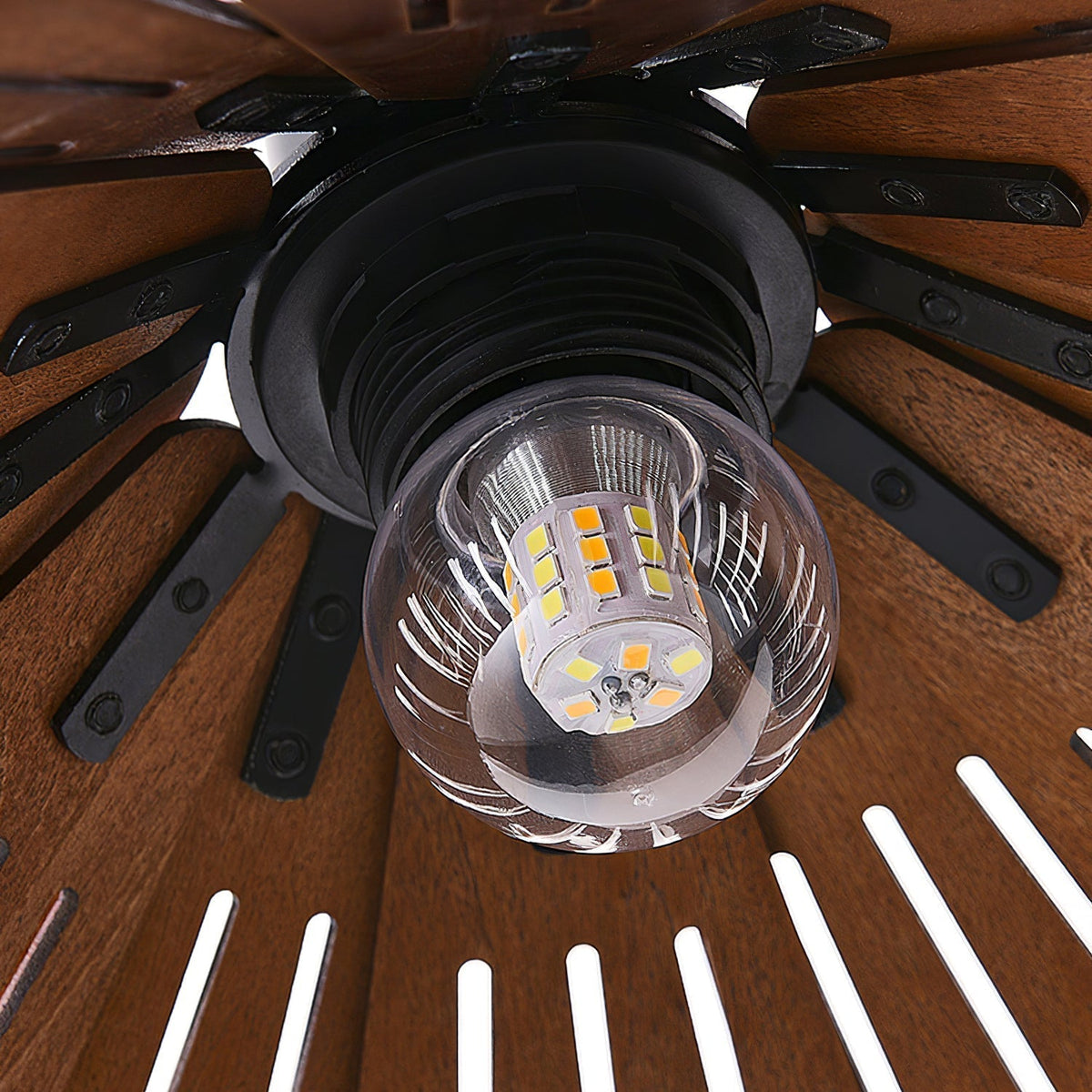 Isria Suspension