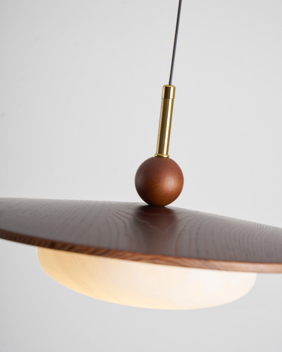 Viraeriella Suspension