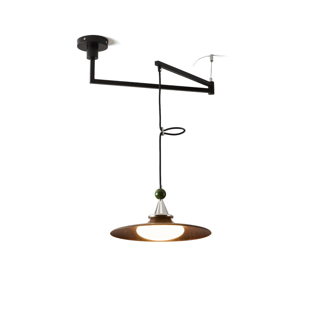 Eden Swing Arm Pendant Light in Walnut and Green finish.