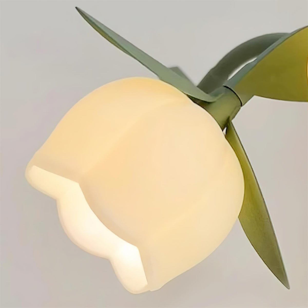 Norisella Lampe de Table
