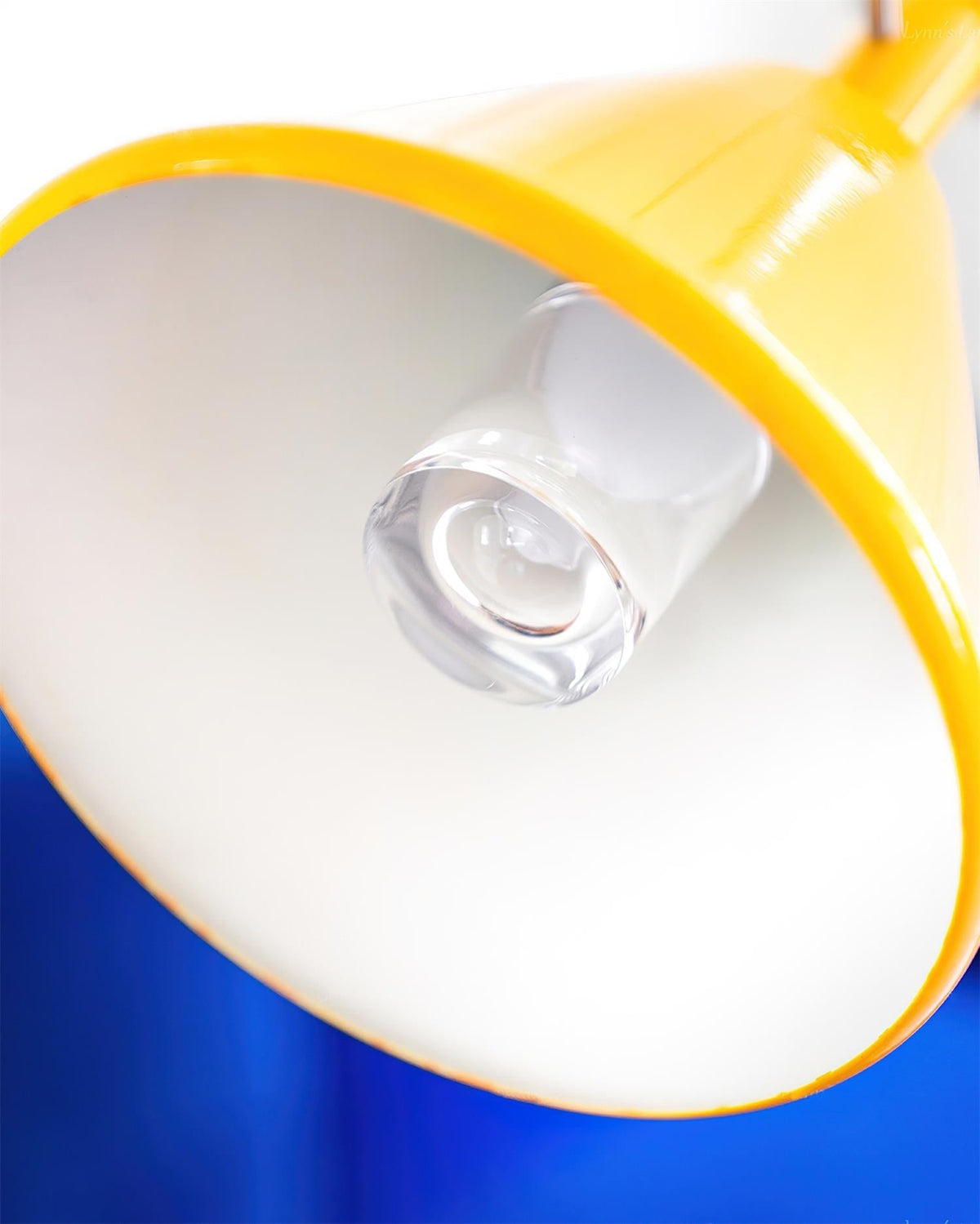 Miruelia Suspension