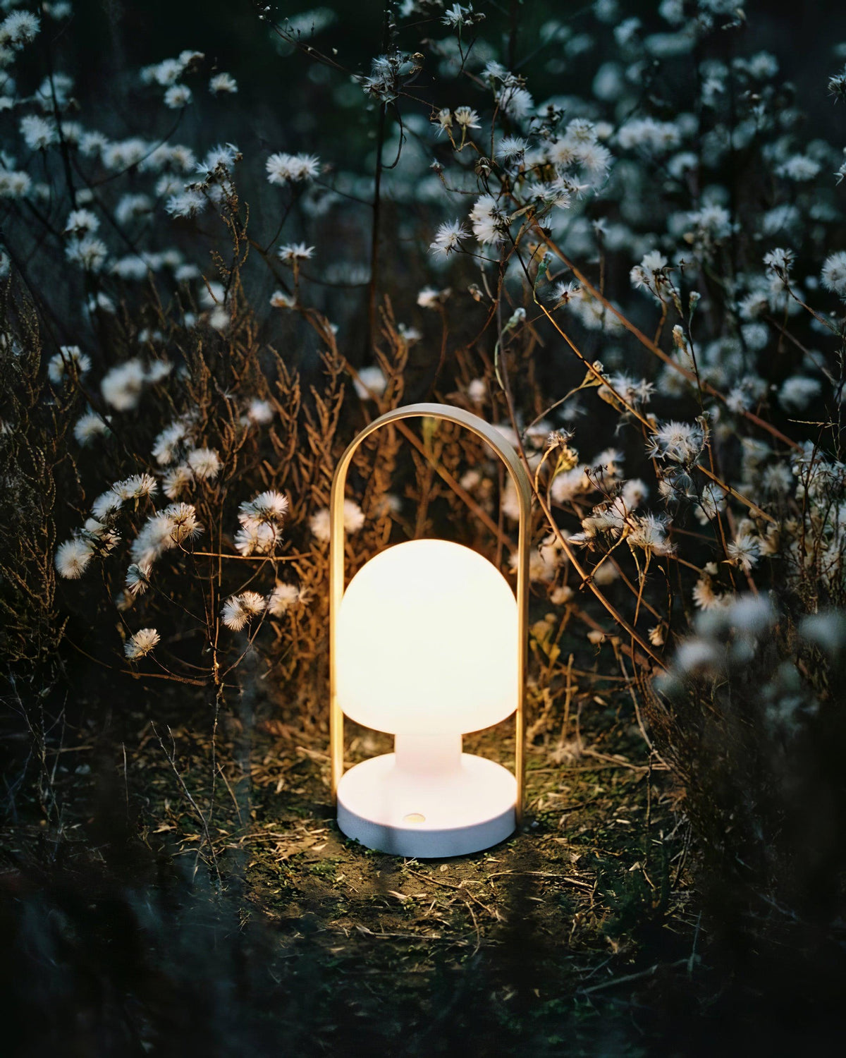 Elaanelle Lampe de Table