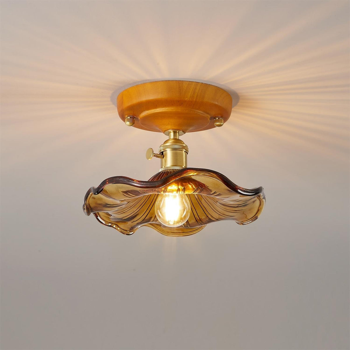 Ceiling Light Wood Canopy Brass & Glass Shade Vintage Floral Farmhouse-Neutral Decor