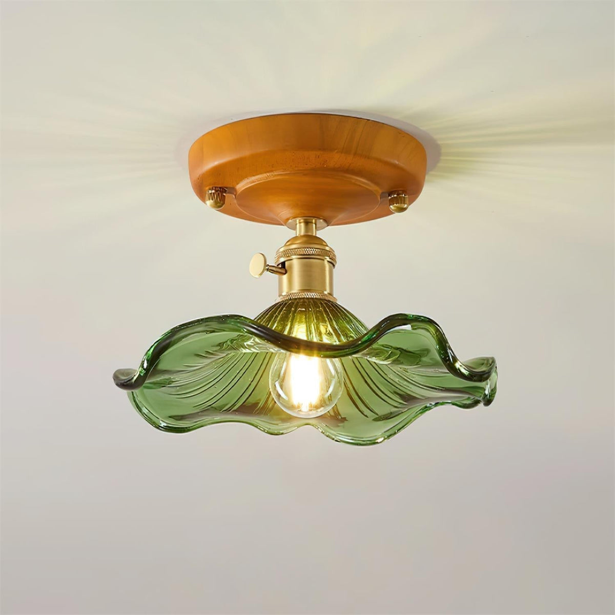 Ceiling Light Wood Canopy Brass & Glass Shade Vintage Floral Farmhouse-Neutral Decor